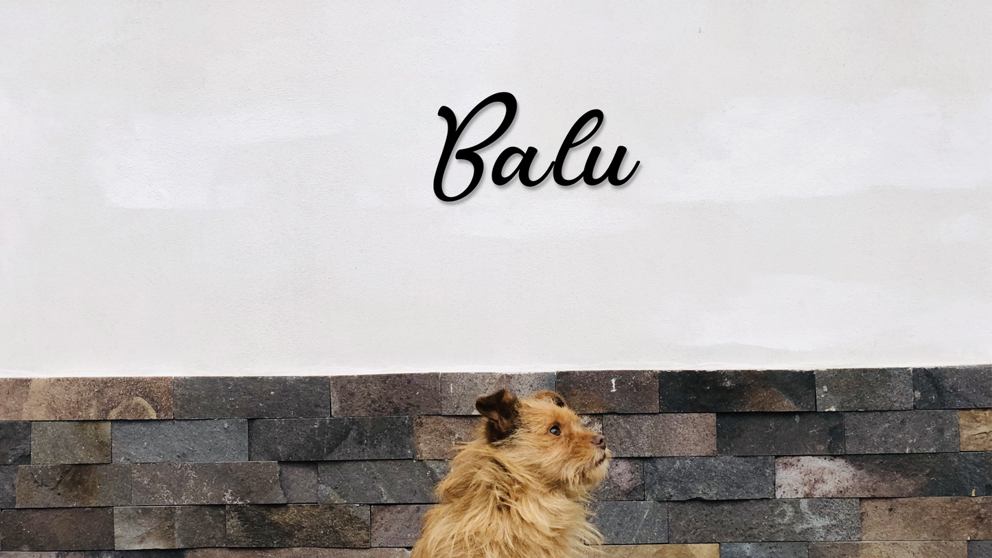Dog looking over a stone wall with 'Balu' written above on a white background - Acrylic glas wall dekor - Vibewall
