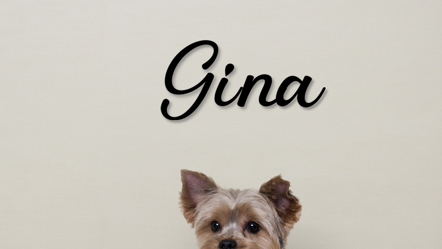 Dog named Gina on a beige background - Acrylic glas dekor - Vibewall