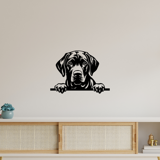 Pet wall decor featuring an illustration of a Black Labrador Retriever. Acrylic glass decor - Vibewall