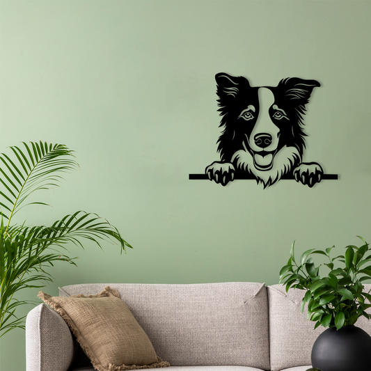 Pet wall decor featuring an illustration of a Border Collie. Acrylic glass decor - Vibewall