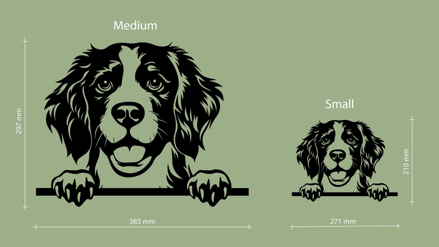 Pet wall decor featuring an illustration of a Brittany dog. Acrylic glass decor - Vibewall