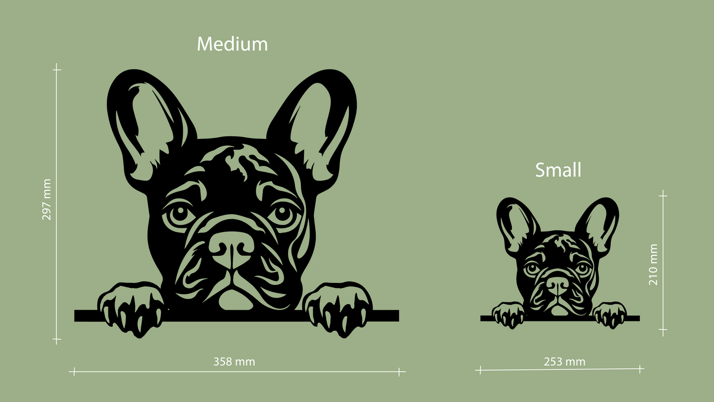 Sizes for pet wall decor featuring an illustration of a French Bulldog. Acrylic glass decor - Vibewall