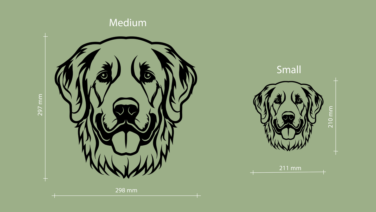 Sizes for pet wall decor featuring an illustration of a Golden Retriever. Acrylic glass decor - Vibewall