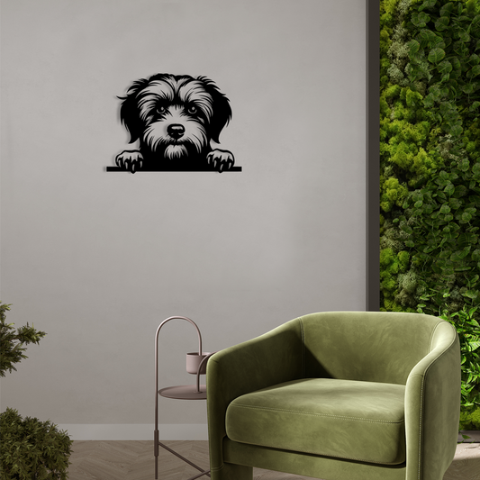 Pet wall decor featuring an illustration of a Havanese dog. Acrylic glass decor - Vibewall