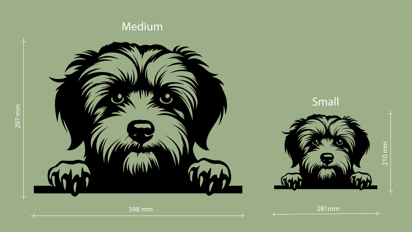 Sizes for pet wall decor featuring an illustration of a Havanese dog. Acrylic glass decor - Vibewall