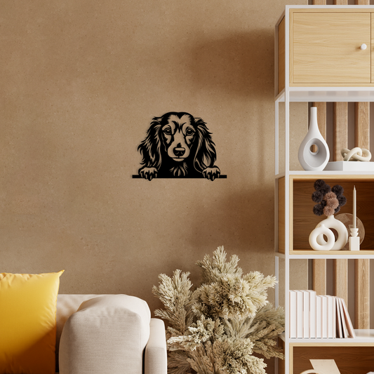 Pet wall decor featuring an illustration of a Long Haired Dachshund. Acrylic glass decor - Vibewall