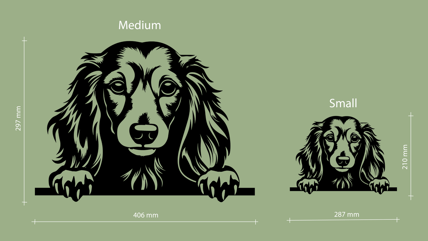 Sizes for pet wall decor featuring an illustration of a Long Haired Dachshund. Acrylic glass decor - Vibewall