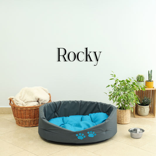 This pet wall decor features the name “Rocky” in a clean, elegant design that adds a personalized touch to any space. Acrylic glass decor - Vibewall