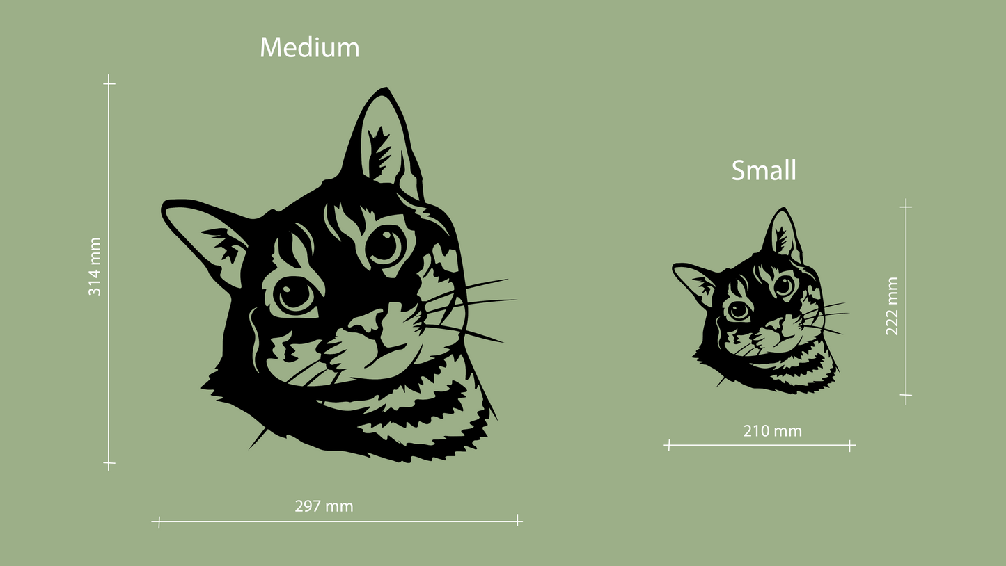 Sizes for pet wall decor featuring an illustration of a Tabby Cat. Acrylic glass decor - Vibewall