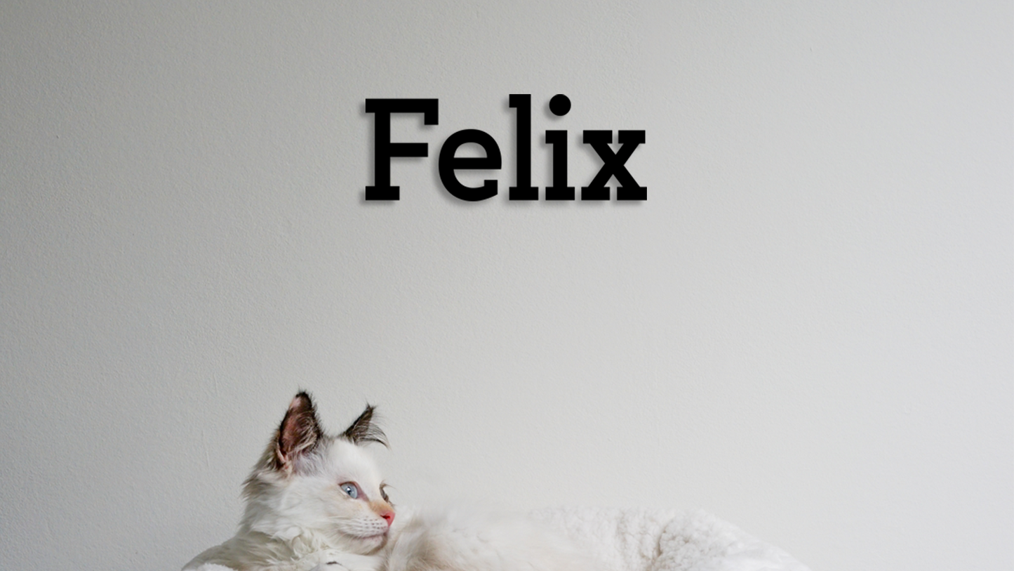 White cat with blue eyes lying on a white background with 'Felix' text above. - Acrylic glas name Felix