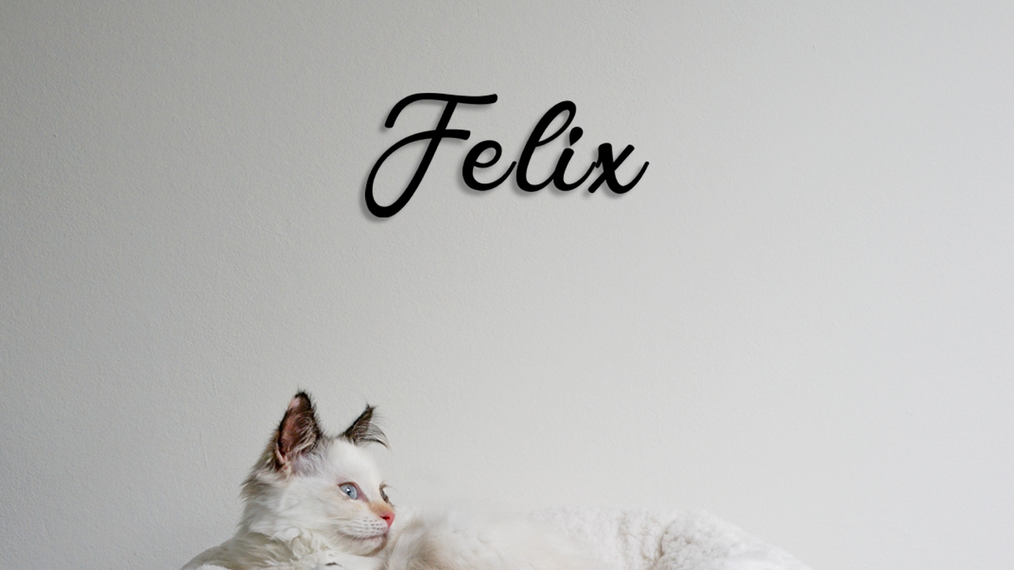 White cat with blue eyes lying on a white background with 'Felix' written above. - Acryliic glass name Felix
