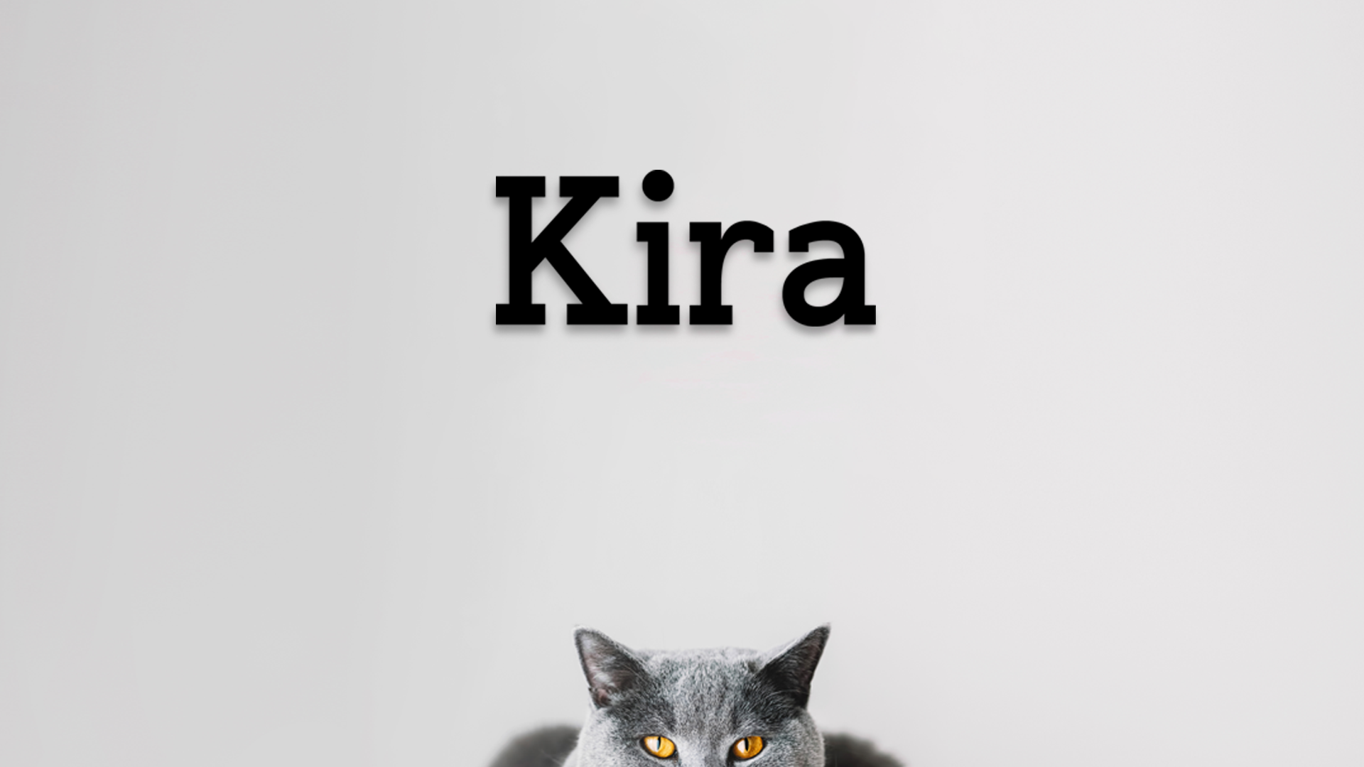 Gray cat peeking from behind text with 'Kira' on a light gray background - Acrylic glas wall dekor - Vibewall