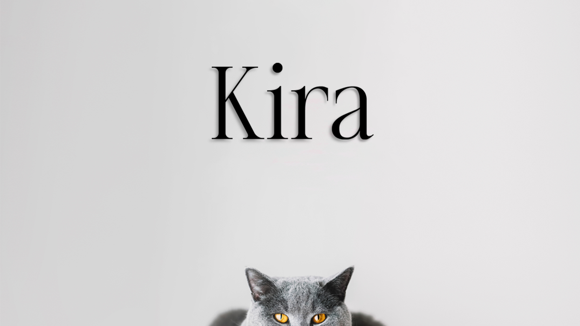 Gray cat peeking from behind text with 'Kira' on a light gray background - Acrylic glas wall dekor - Vibewall