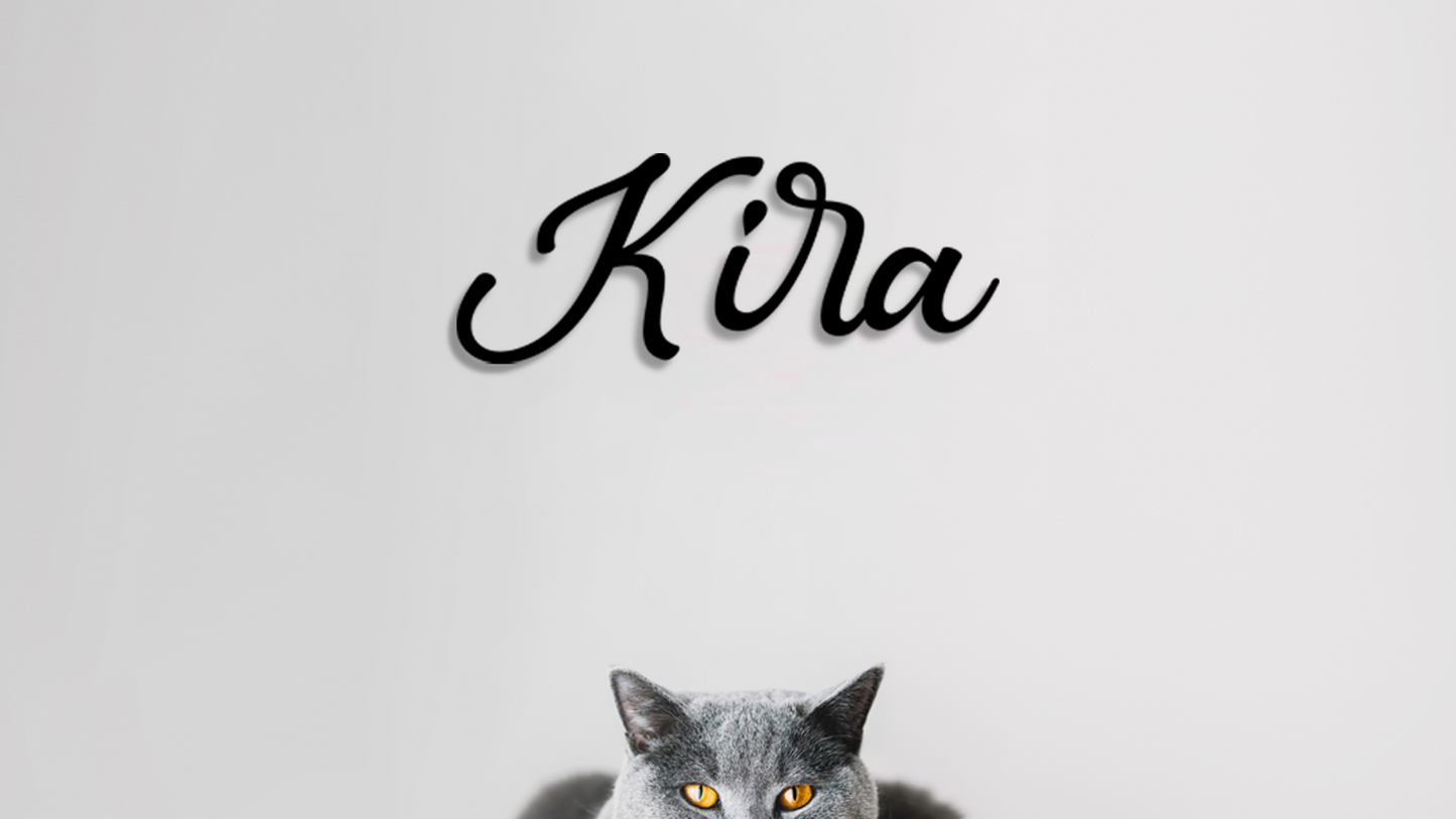 Gray cat peeking from a hole with 'Kira' written above on a light gray background - Acrylic glas wall dekor - Vibewall