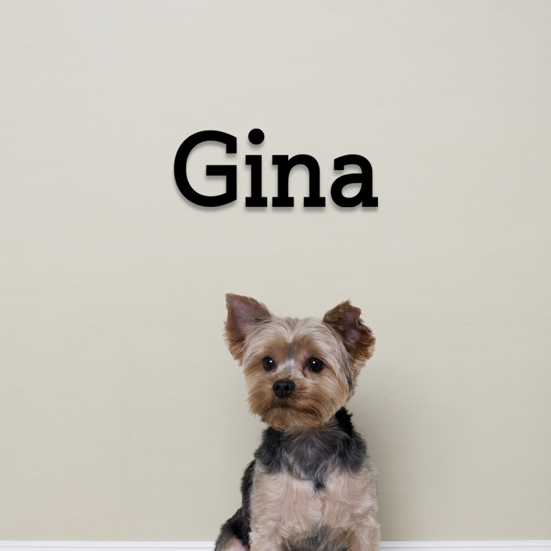 Small dog with a name 'Gina' displayed above it on a plain background - Acrylic glas wall dekor - Vibewall