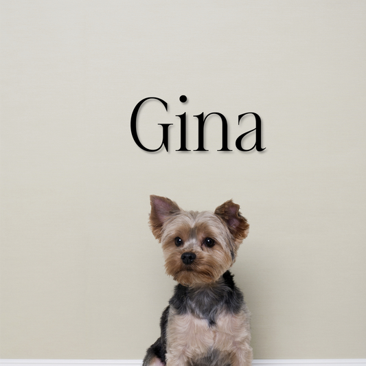 Small dog with a name 'Gina' above it on a plain background - Acrylic glas wall dekor - Vibewall