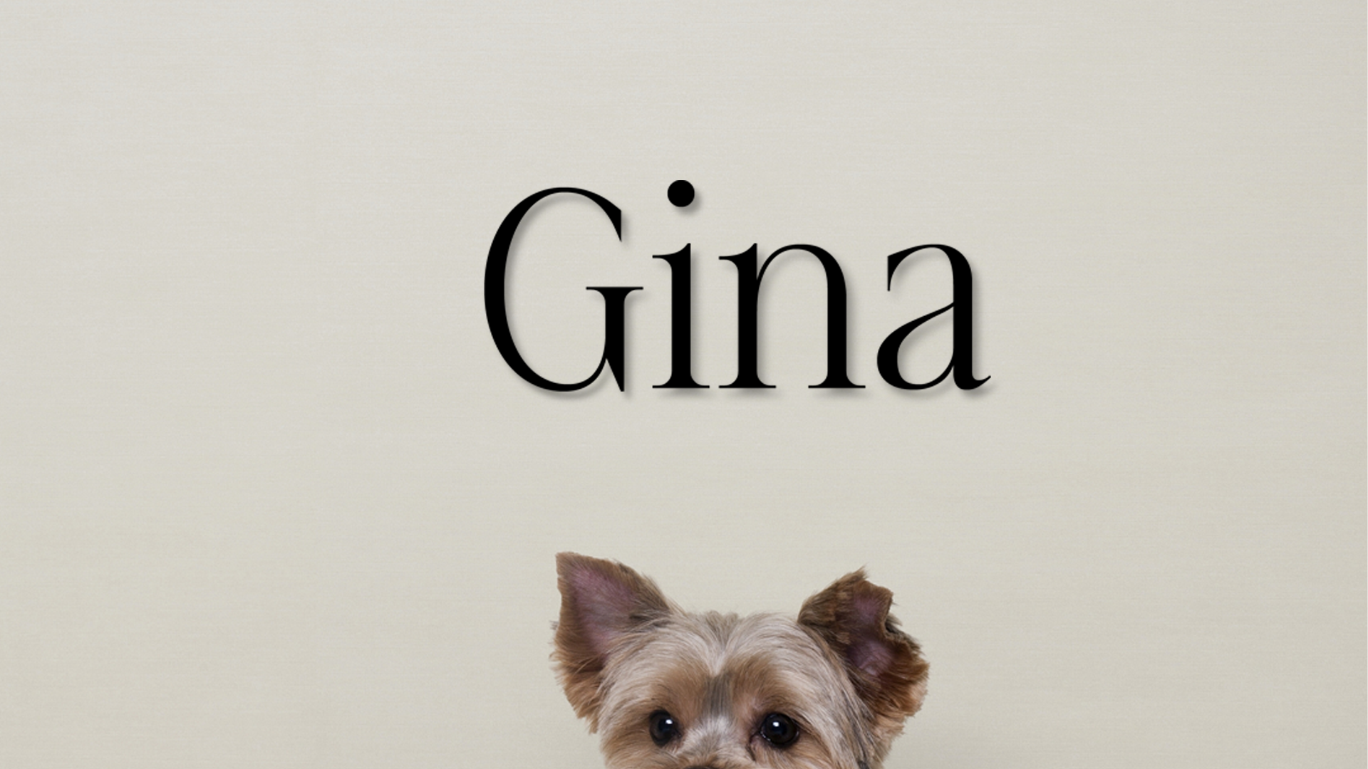Dog named Gina on a beige background - Acrylic glas wall dekor - Vibewall