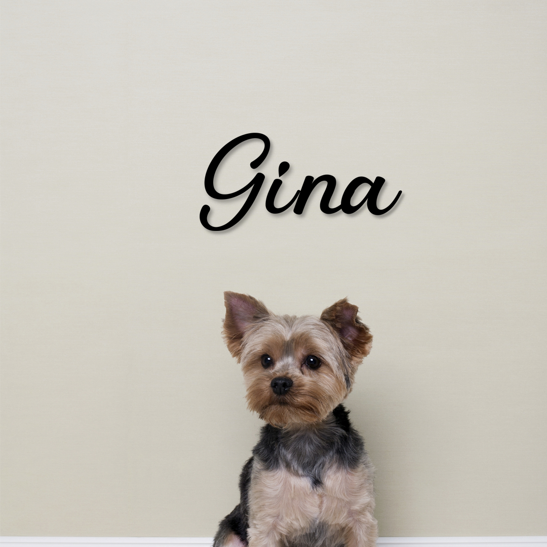 Small dog with a name 'Gina' above it on a plain background - Acrylic glas dekor - Vibewall