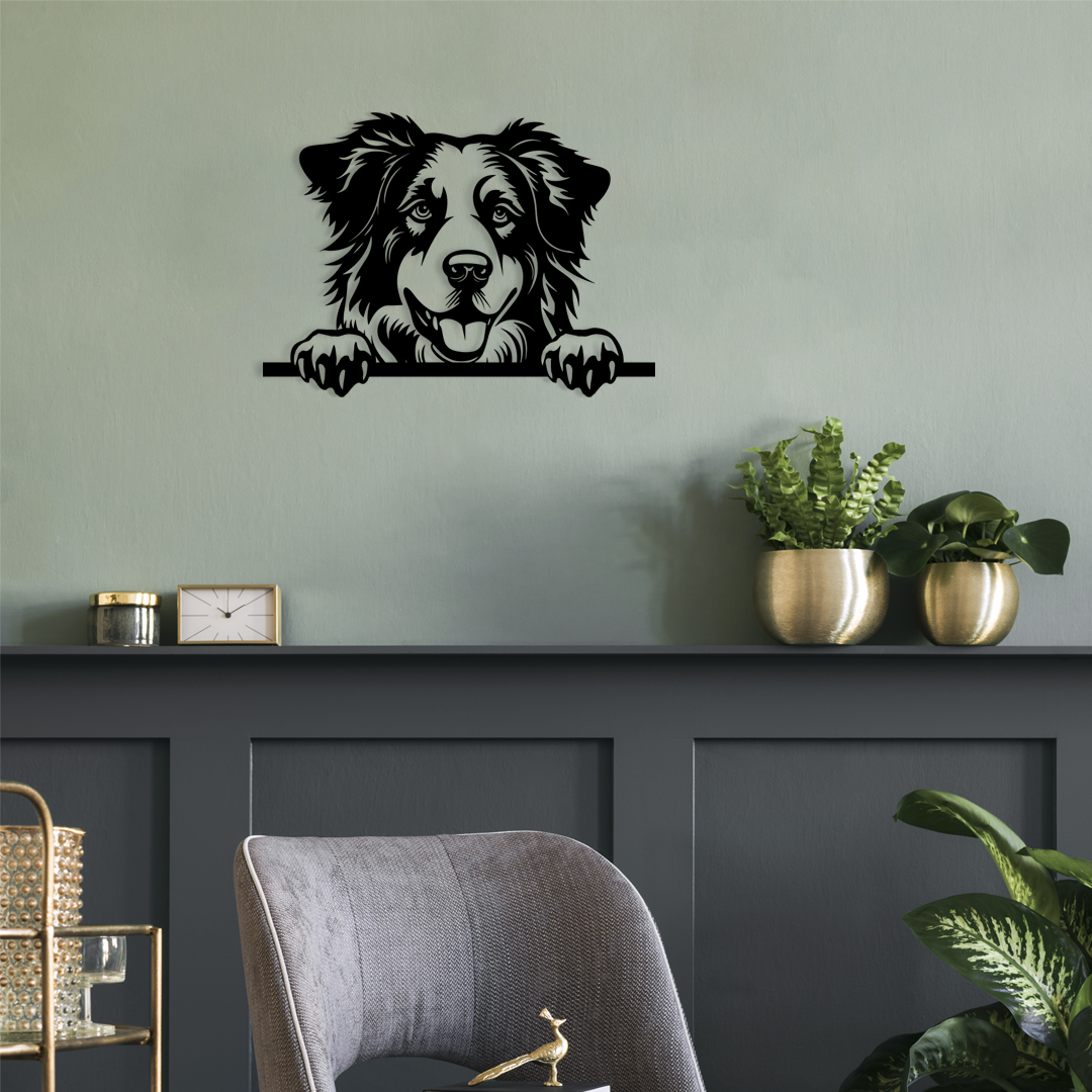 Pet wall decor featuring an illustration of a Australian Shepherd. Acrylic glass decor - Vibewall