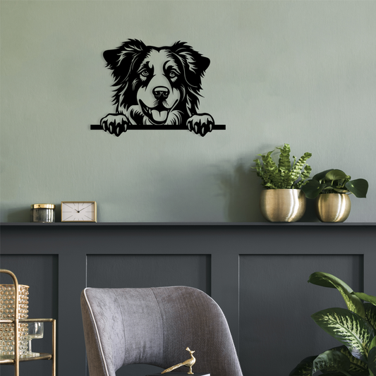 Pet wall decor featuring an illustration of a Australian Shepherd. Acrylic glass decor - Vibewall