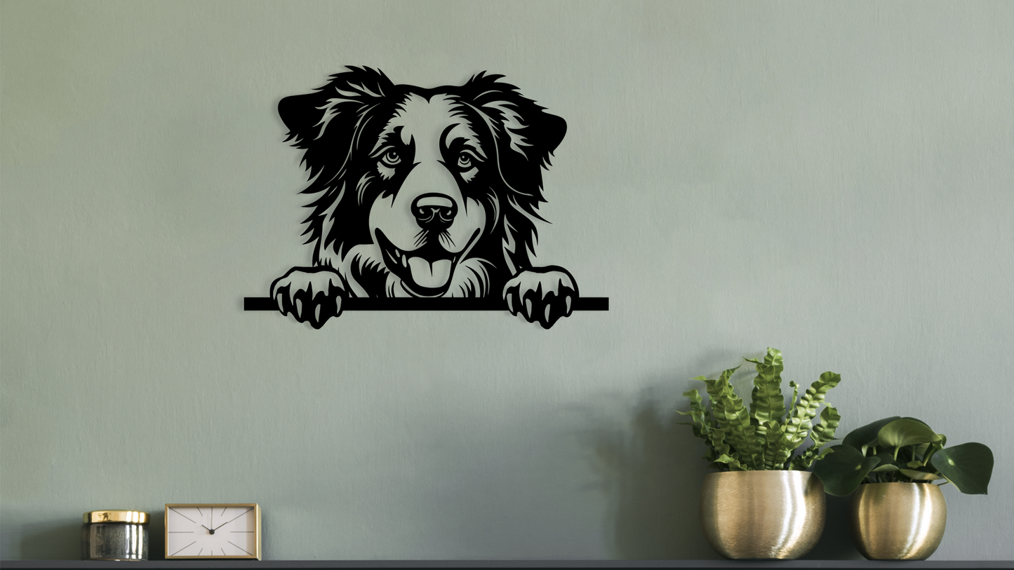Pet wall decor featuring an illustration of a Australian Shepherd. Acrylic glass decor - Vibewall