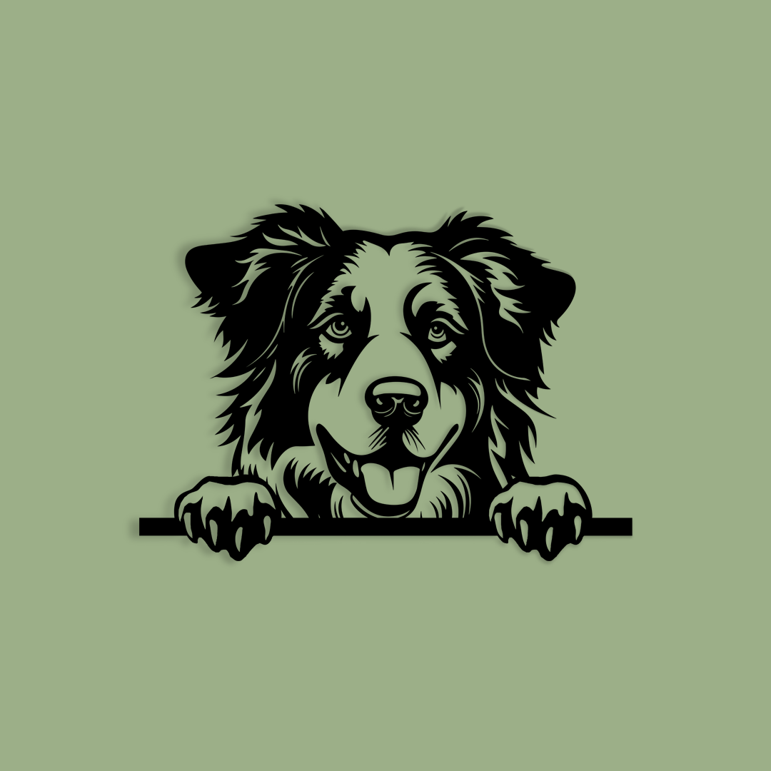 Pet wall decor featuring an illustration of a Australian Shepherd. Acrylic glass decor - Vibewall