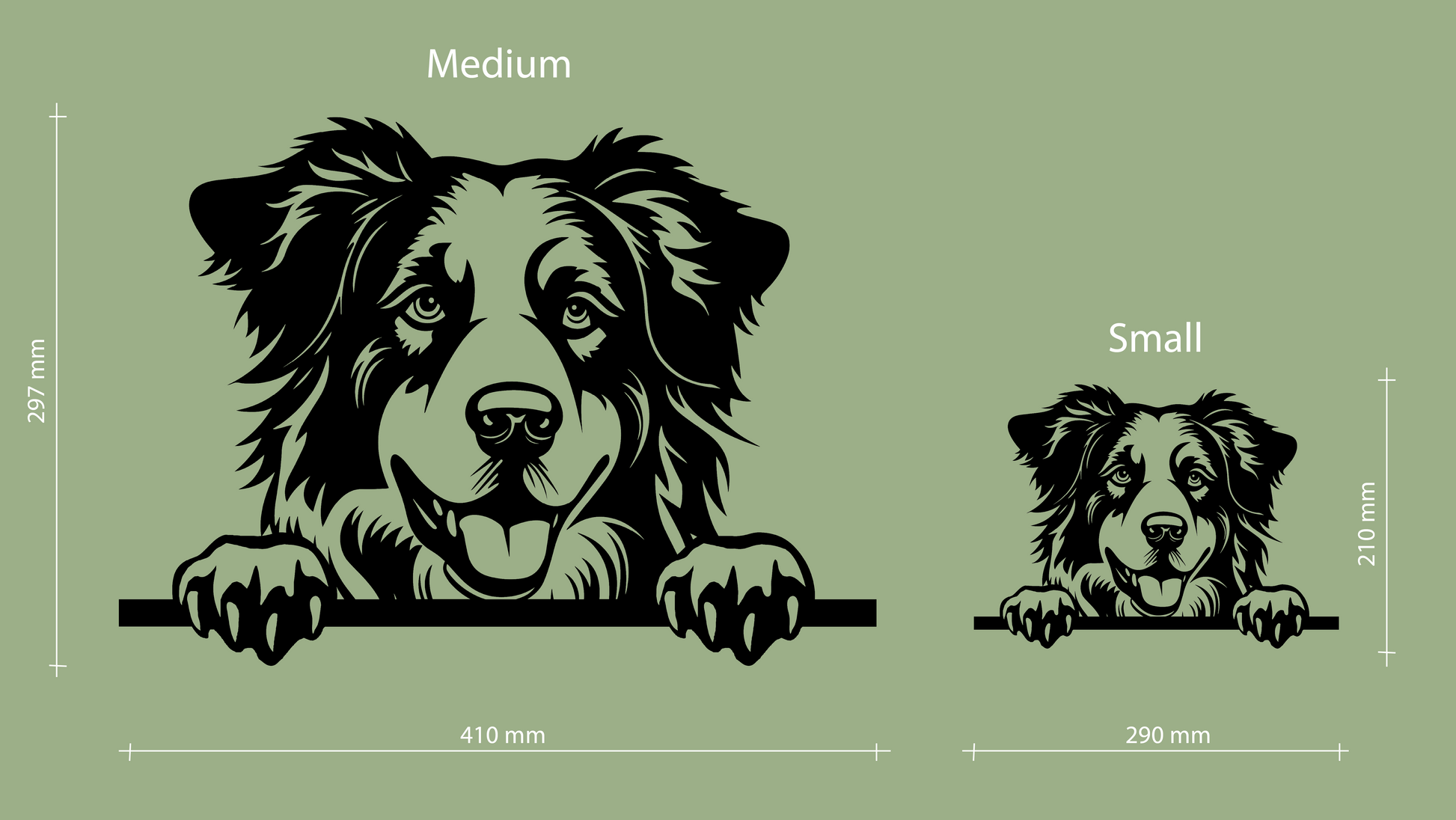 Sizes for pet wall decor featuring an illustration of a Australian Shepherd. Acrylic glass decor - Vibewall
