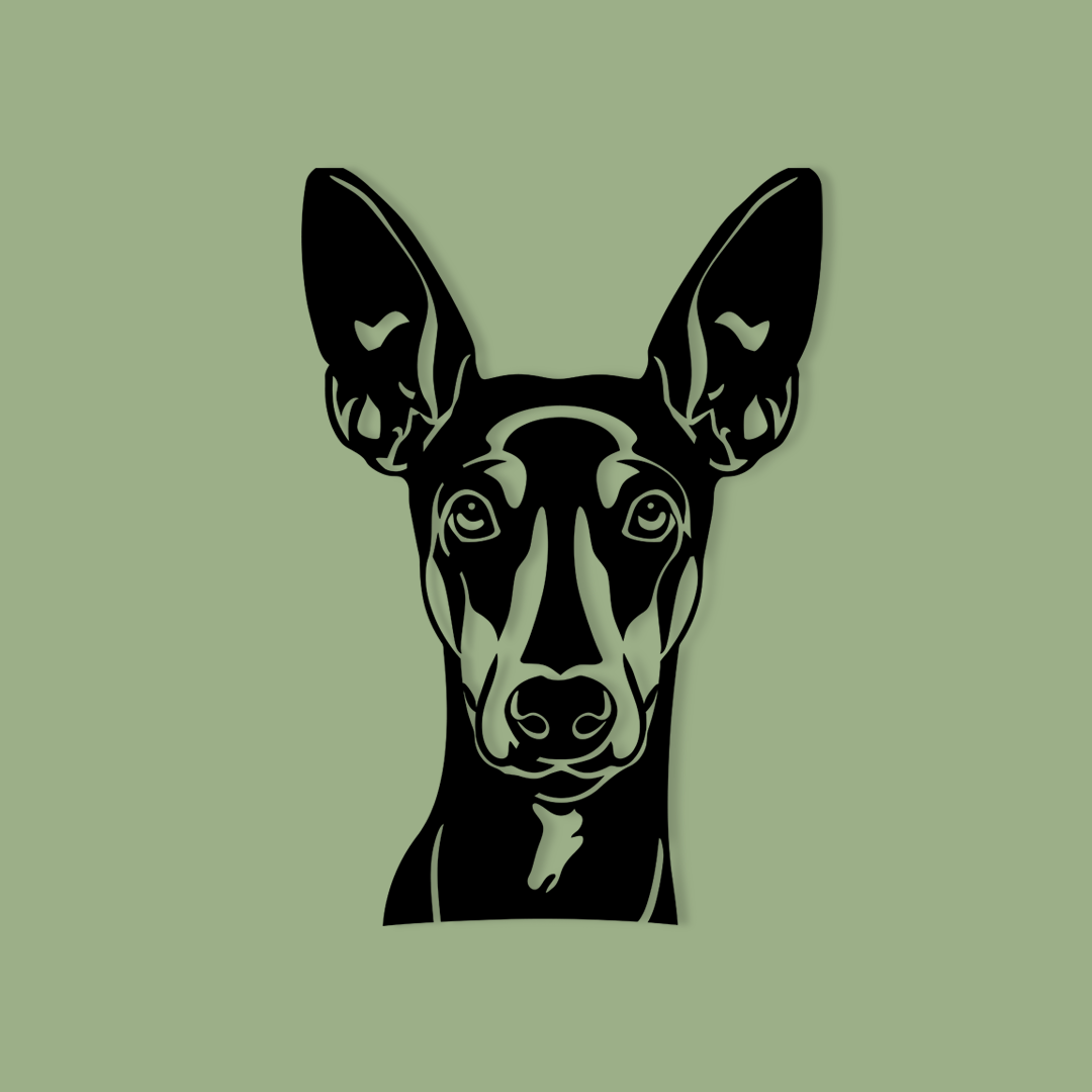 Pet wall decor featuring an illustration of a Austrian Pinscher. Acrylic glass decor - Vibewall
