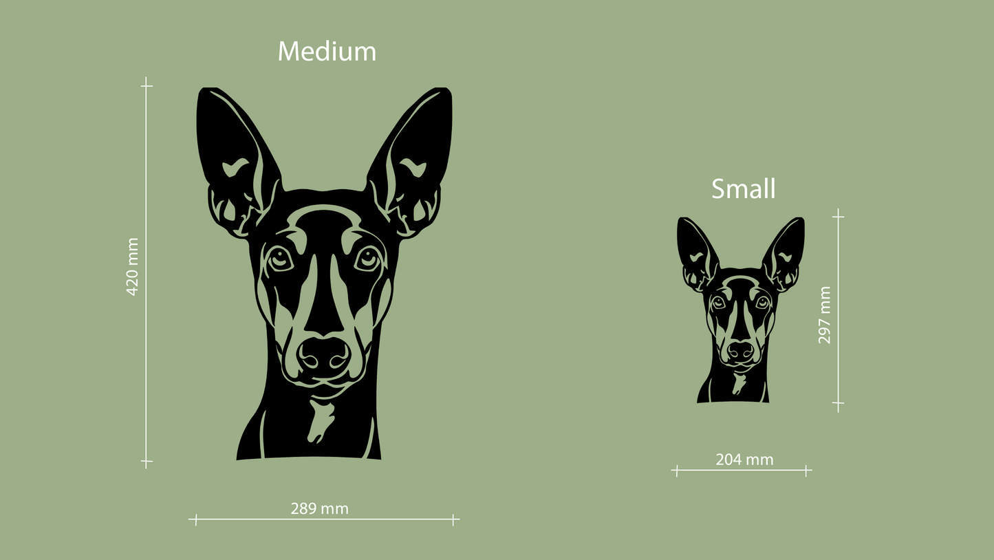 Sizes for pet wall decor featuring an illustration of a Austrian Pinscher. Acrylic glass decor - Vibewall