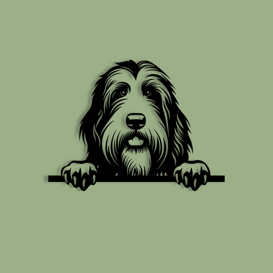 Pet wall decor featuring an illustration of a Bearded Collie. Acrylic glass decor - Vibewall