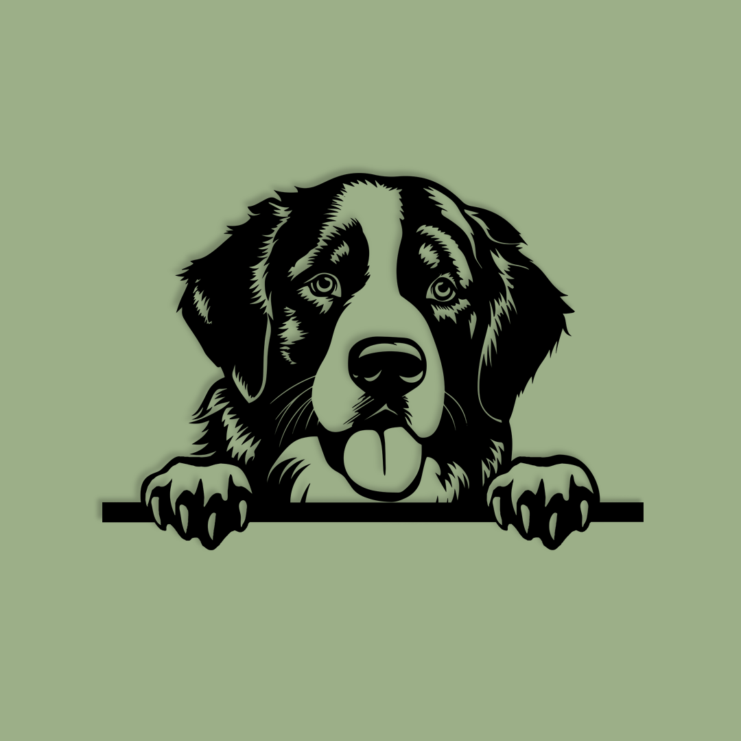 Pet wall decor featuring an illustration of a Bernese Mountain Dog. Acrylic glass decor - Vibewall