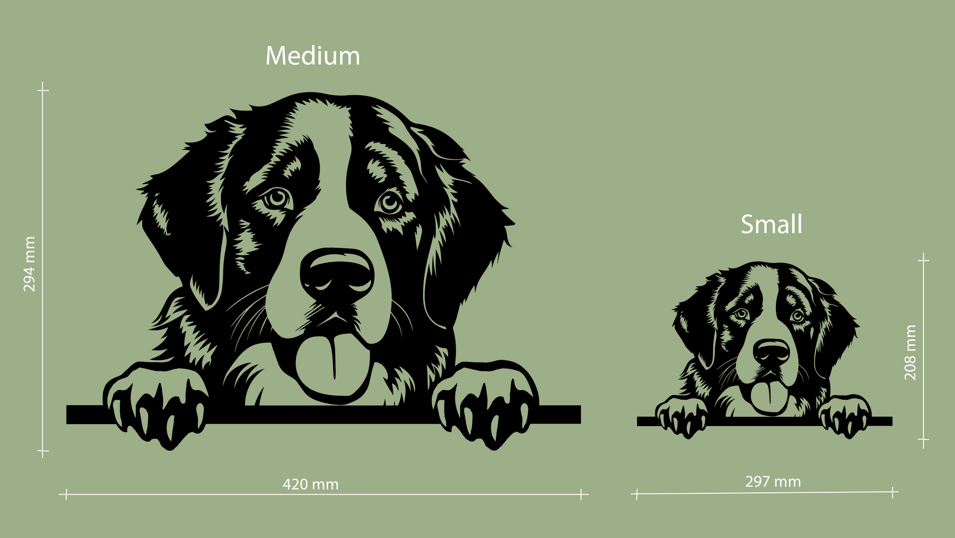 Sizes for pet wall decor featuring an illustration of a Bernese Mountain Dog. Acrylic glass decor - Vibewall