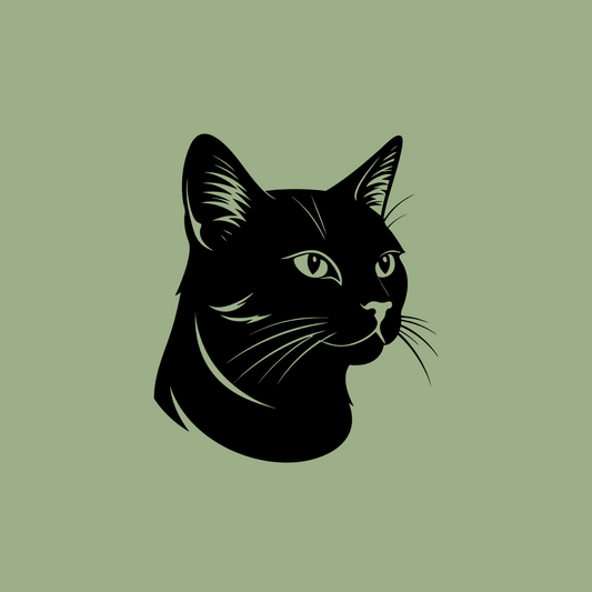 Pet wall decor featuring an illustration of a Black Cat. Acrylic glass decor - Vibewall