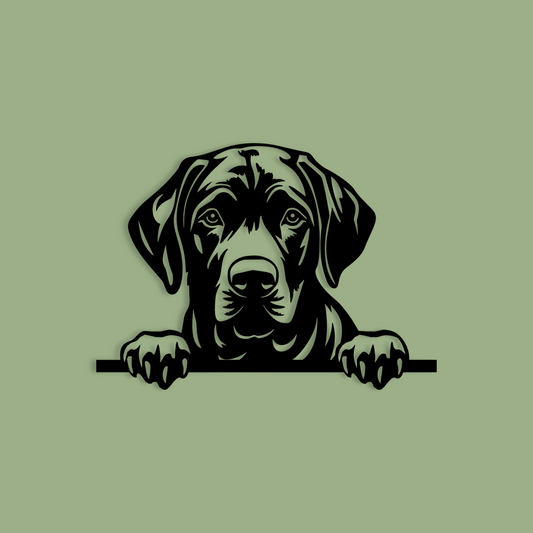 Pet wall decor featuring an illustration of a Black Labrador Retriever. Acrylic glass decor - Vibewall