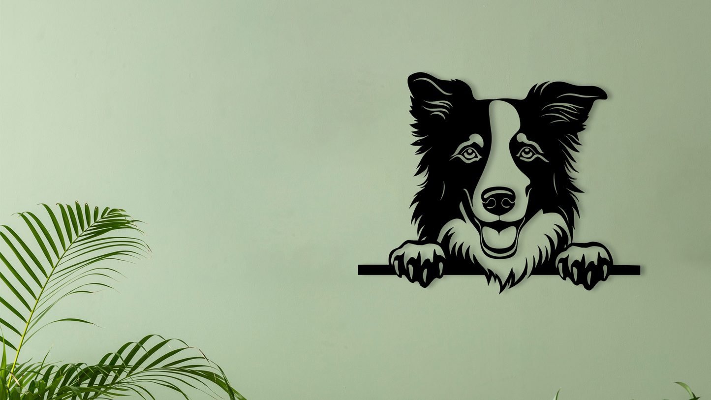 Pet wall decor featuring an illustration of a Border Collie. Acrylic glass decor - Vibewall