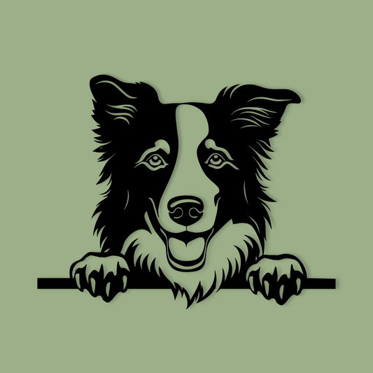 Pet wall decor featuring an illustration of a Border Collie. Acrylic glass decor - Vibewall