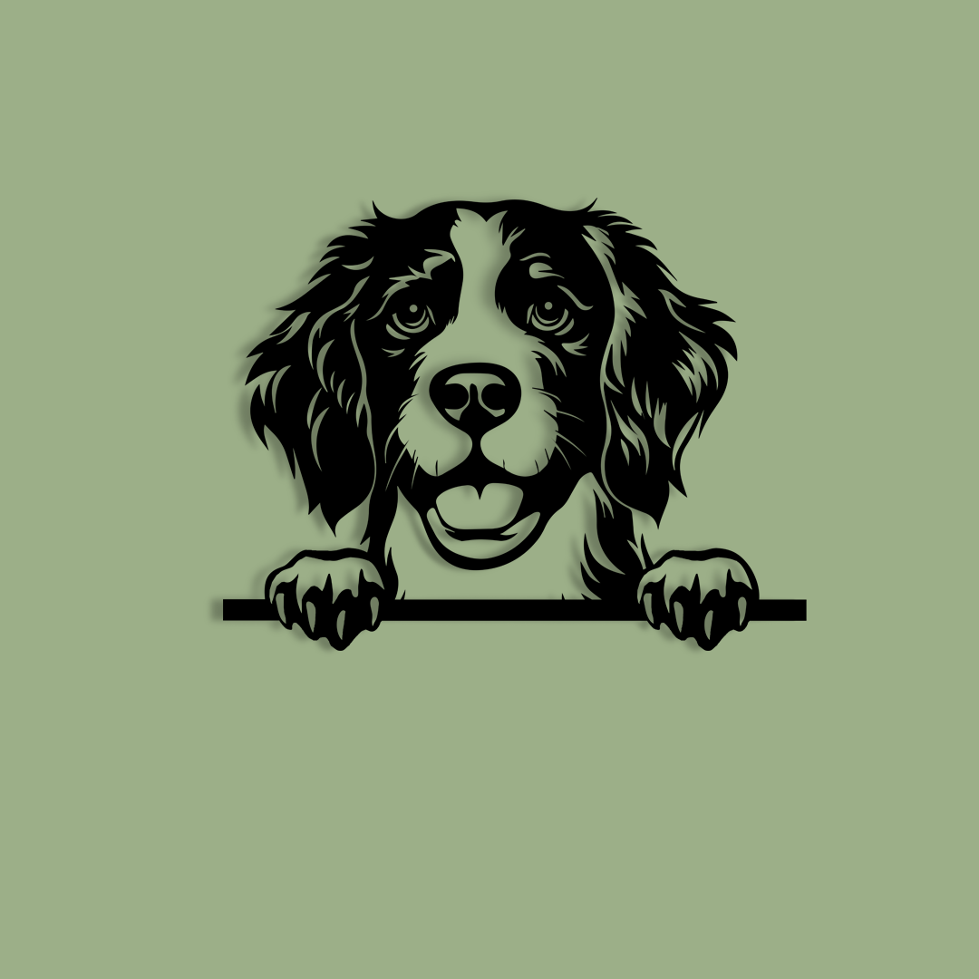 Pet wall decor featuring an illustration of a Brittany dog. Acrylic glass decor - Vibewall