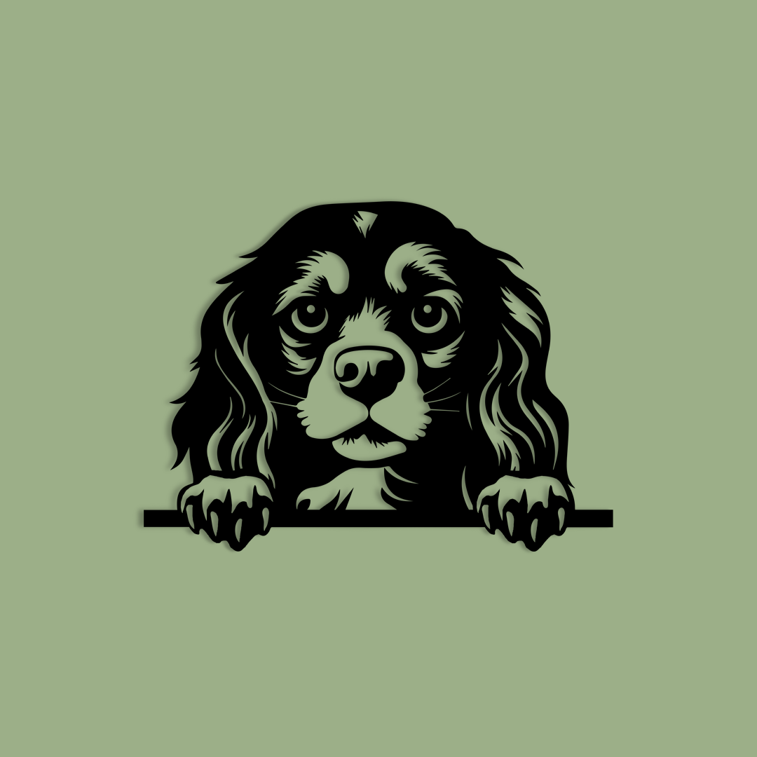 Pet wall decor featuring an illustration of a Cavalier King Charles Spaniel. Acrylic glass decor - Vibewall