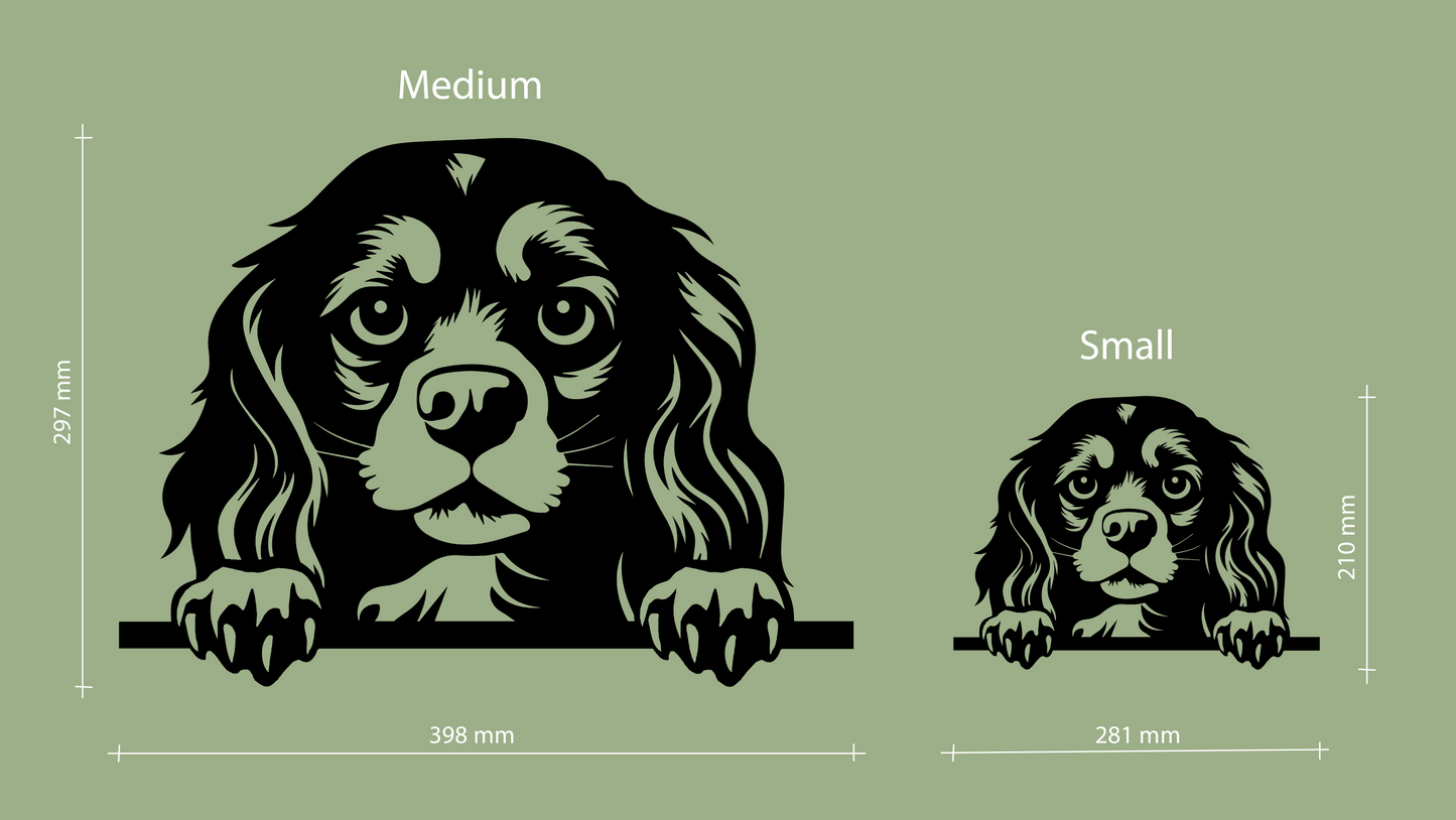 Sizes for pet wall decor featuring an illustration of a Cavalier King Charles Spaniel. Acrylic glass decor - Vibewall