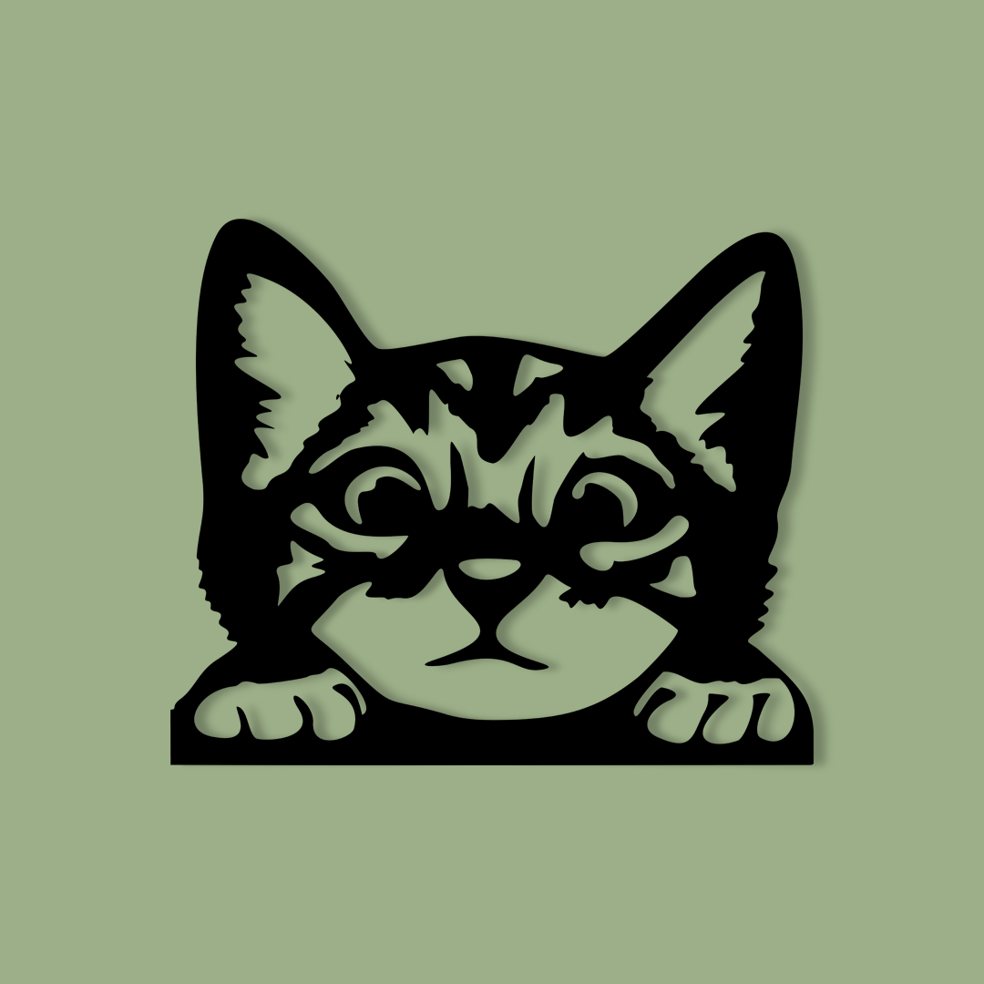 Pet wall decor featuring an illustration of a Curious Kitten. Acrylic glass decor - Vibewall