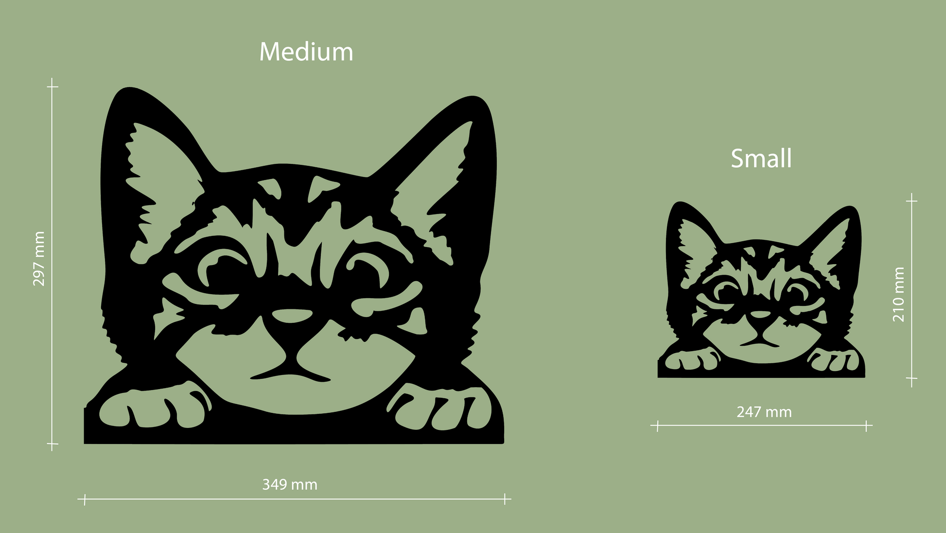 Sizes for pet wall decor featuring an illustration of a Curious Kitten. Acrylic glass decor - Vibewall