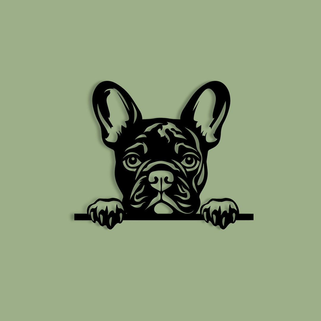 Pet wall decor featuring an illustration of a French Bulldog. Acrylic glass decor - Vibewall