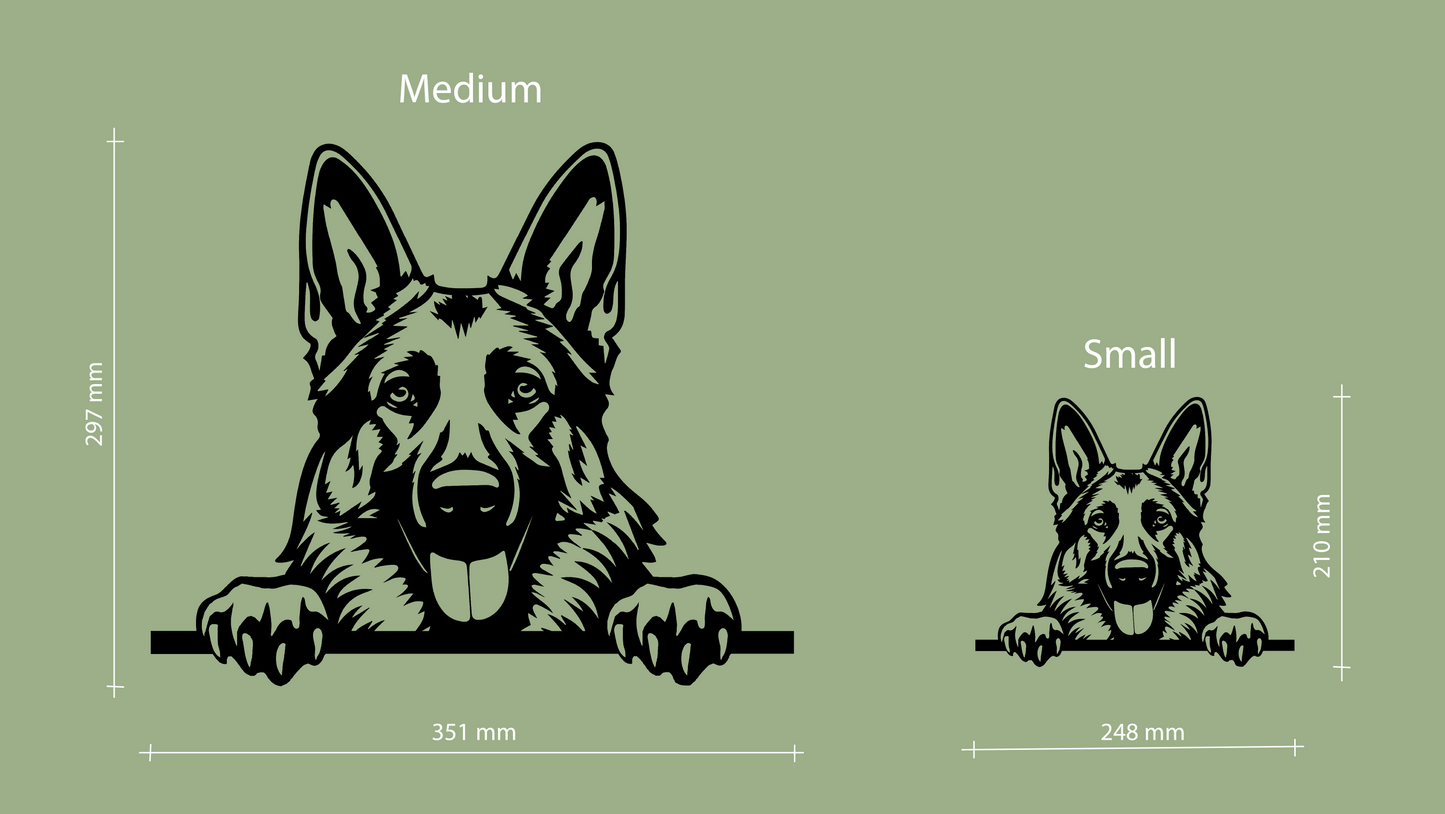 Sizes of pet wall decor featuring an illustration of a German Shepherd. Acrylic glass decor - Vibewall
