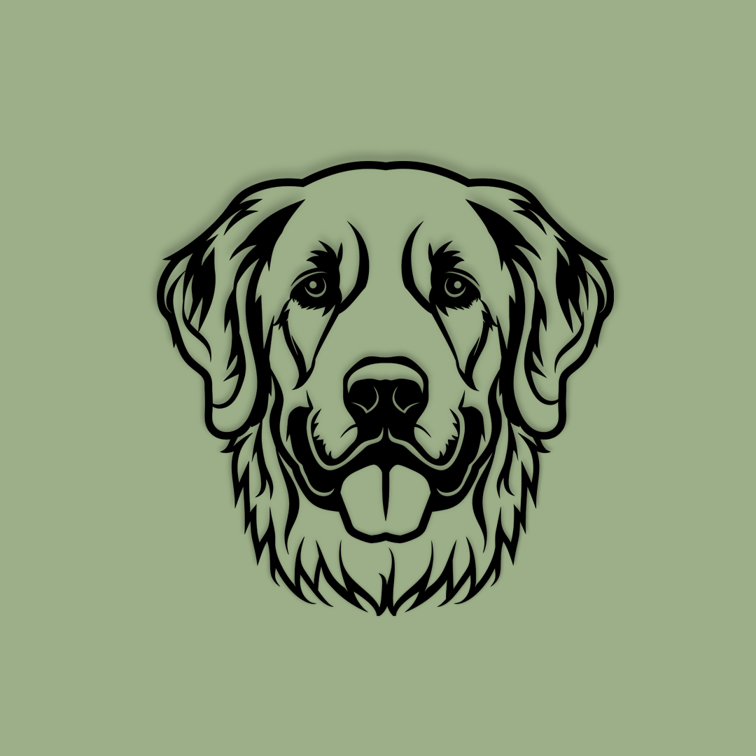 Pet wall decor featuring an illustration of a Golden Retriever. Acrylic glass decor - Vibewall