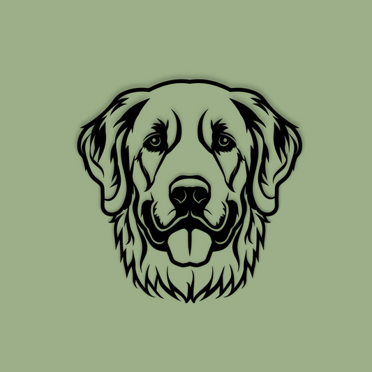 Pet wall decor featuring an illustration of a Golden Retriever. Acrylic glass decor - Vibewall