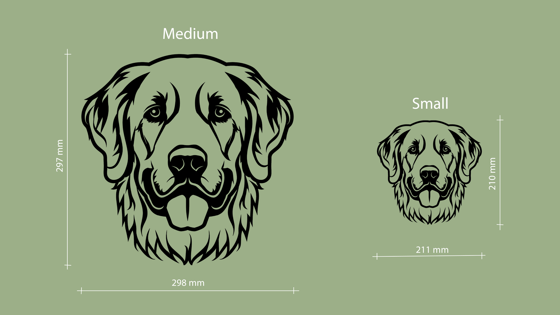 Sizes for pet wall decor featuring an illustration of a Golden Retriever. Acrylic glass decor - Vibewall