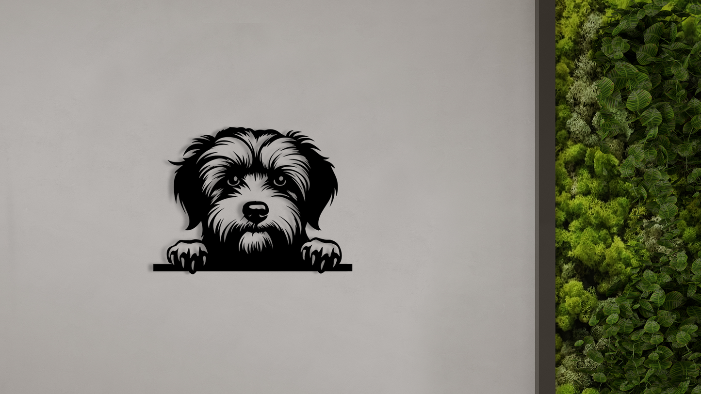 Pet wall decor featuring an illustration of a Havanese dog. Acrylic glass decor - Vibewall