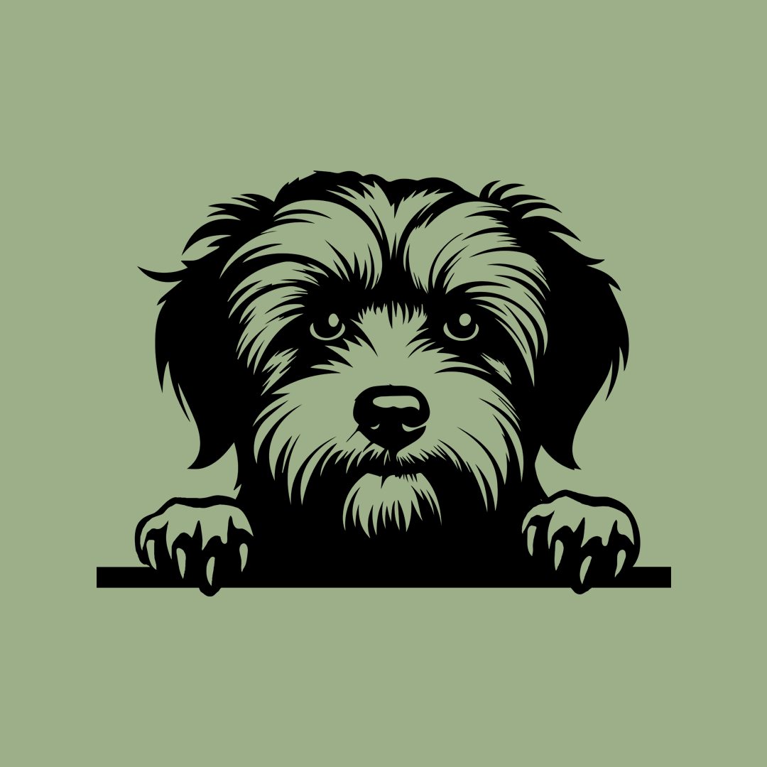 Pet wall decor featuring an illustration of a Havanese dog. Acrylic glass decor - Vibewall