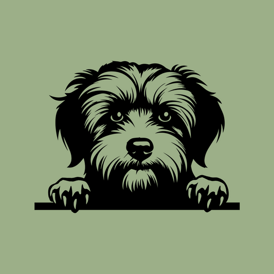 Pet wall decor featuring an illustration of a Havanese dog. Acrylic glass decor - Vibewall