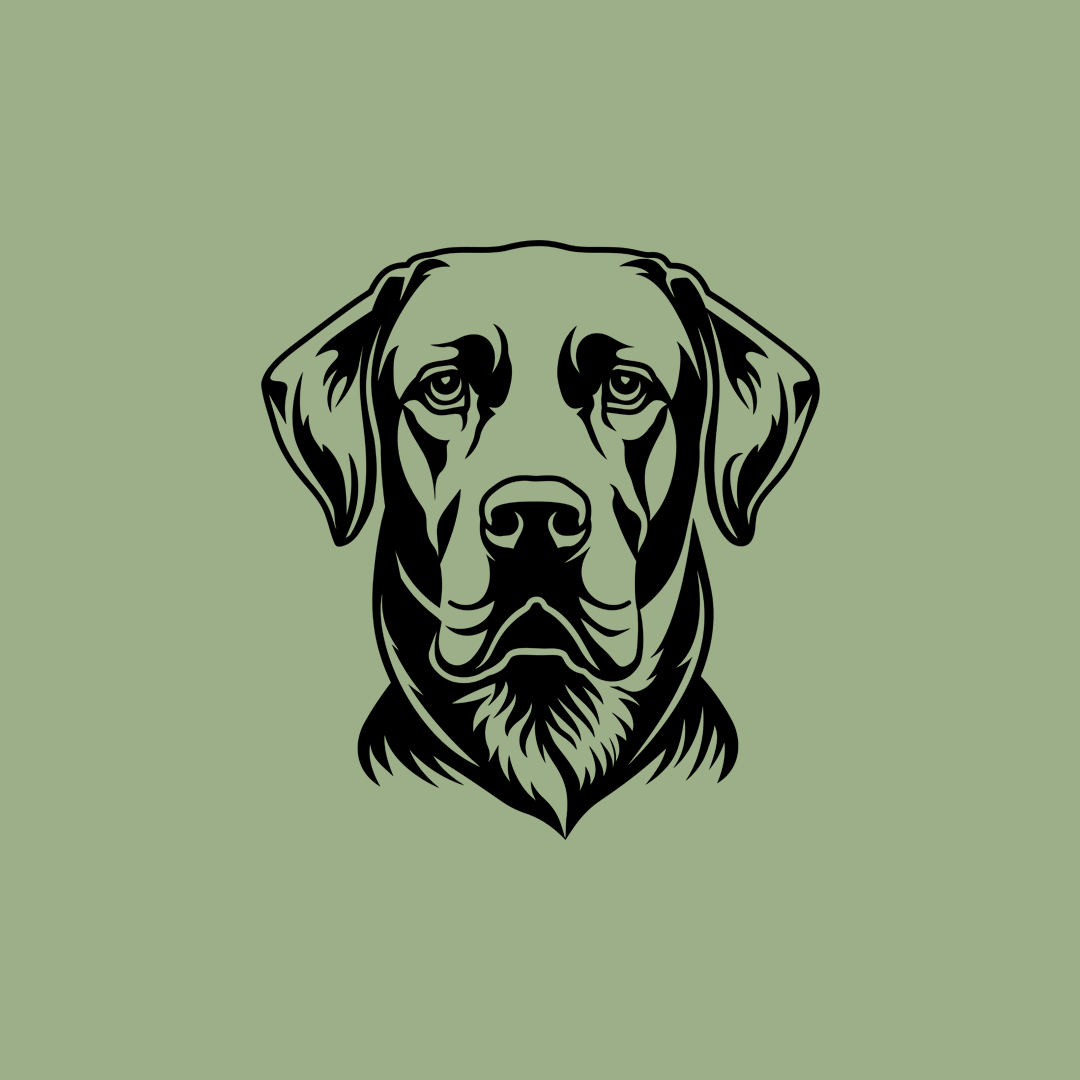 Pet wall decor featuring an illustration of a Labrador Retriever. Acrylic glass decor - Vibewall